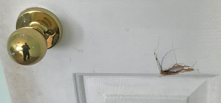 interior door hole repair South El Monte