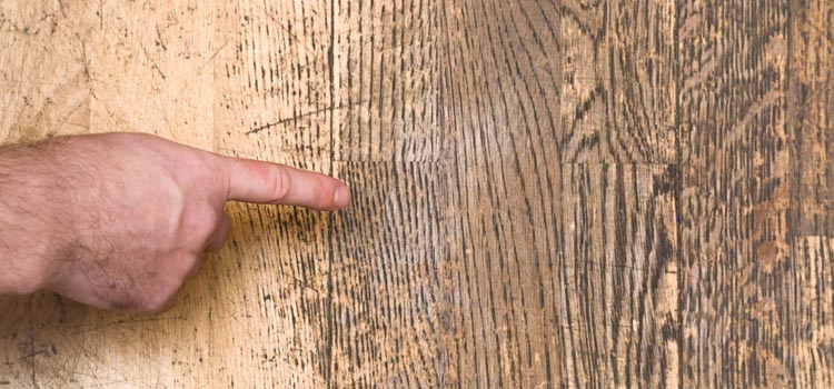 Wood Door Scratch Repair in South El Monte